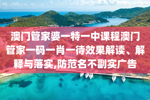 澳门管家婆一特一中课程澳门管家一码一肖一待效果解读、解释与落实,防范名不副实广告