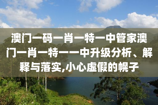 澳门一码一肖一特一中管家澳门一肖一特一一中升级分析、解释与落实,小心虚假的幌子