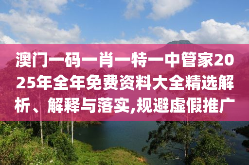 澳门一码一肖一特一中管家2025年全年免费资料大全精选解析、解释与落实,规避虚假推广