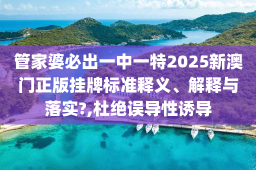 技术转让 第28页